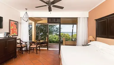Occidental Papagayo