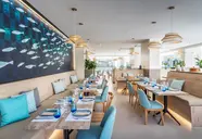 Occidental Puerto Banus