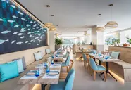 Occidental Puerto Banus