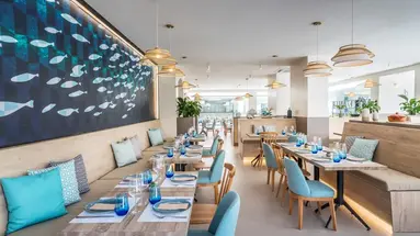 Occidental Puerto Banus