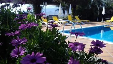 Ocean Gardens