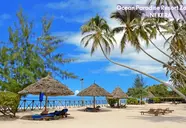 Ocean Paradise Resort & Spa