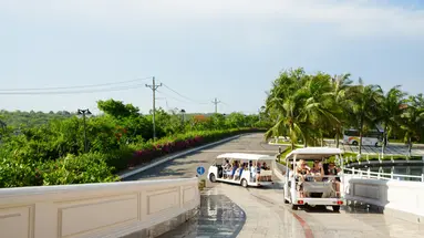Ocean Vista