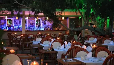 Okaliptus