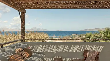 OKU Kos 