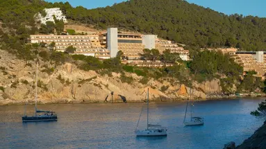Ole Galeon Ibiza