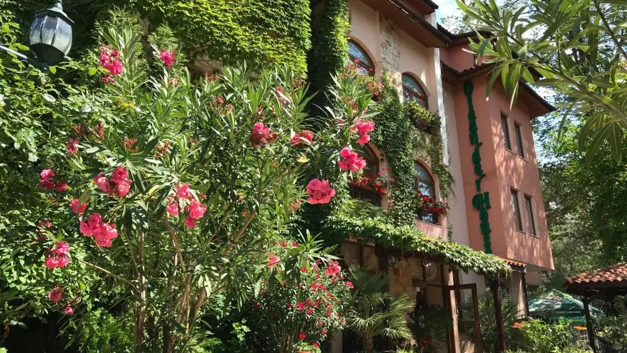 Oleander (Sunny Beach)