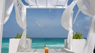 Oleo Cancun Playa