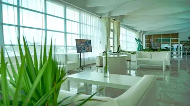 Oleo Cancun Playa