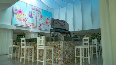 Oleo Cancun Playa