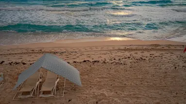 Oleo Cancun Playa