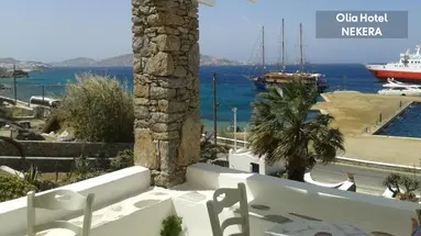 Olia