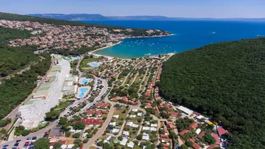 Oliva