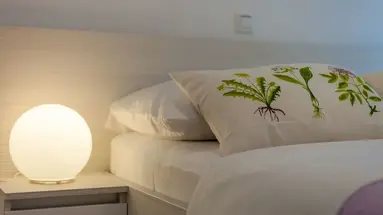 Olive Tree Apartments