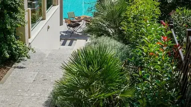 Olive Tree Apartments