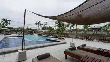 Olive Tree (Pattaya)