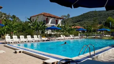 Olive Tree Studia