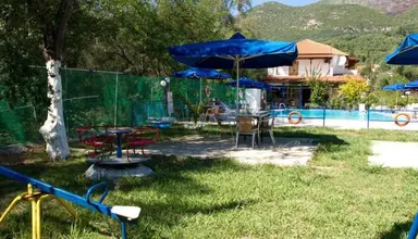 Olive Tree Studia
