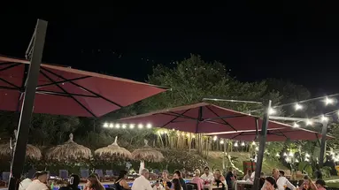 Olivia's Hill Resort
