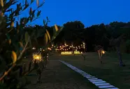 Olivia's Hill Resort