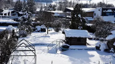 Olympia (Reischach)