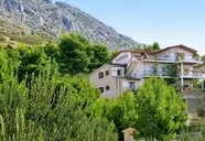 Omis
