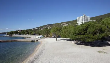 Omorika