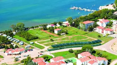 Omorika