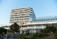 Omorika