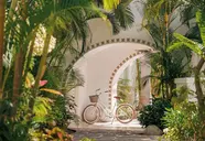 One & Only Palmilla