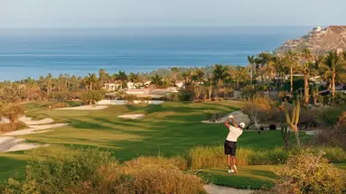 One & Only Palmilla