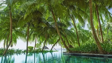 One & Only Reethi Rah