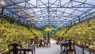 One & Only Reethi Rah