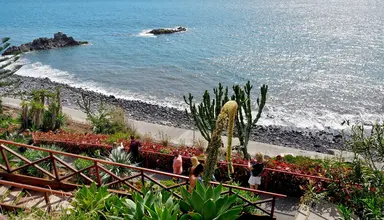 Orca Praia