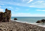 Orca Praia