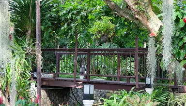 Orchidacea Resort