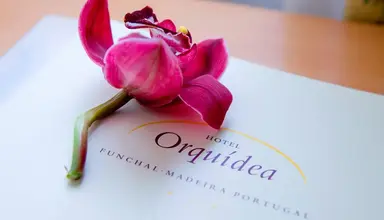 Orquidea (Funchal)