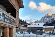 Orso Grigio (Pescul)