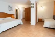 Orso Grigio (Pinzolo)