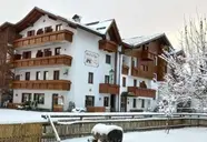 Orso Grigio (Pinzolo)