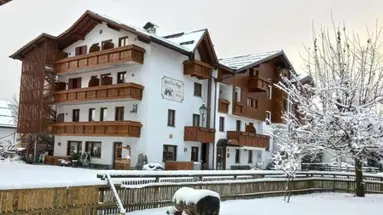 Orso Grigio (Pinzolo)