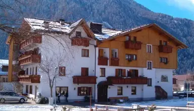 Orso Grigio (Pinzolo)