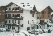 Orso Grigio (Pinzolo)