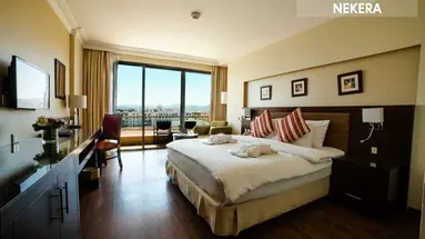 Oryx Aqaba
