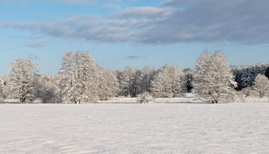 Ossa Conference & SPA