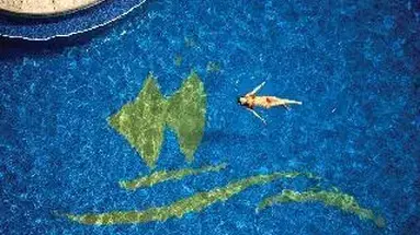 Outrigger Reef Waikiki Beach Resort