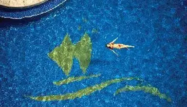 Outrigger Reef Waikiki Beach Resort