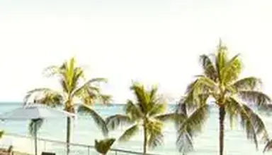 Outrigger Reef Waikiki Beach Resort