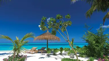Ozen Life Maadhoo