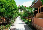 Ozlem Garden